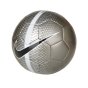 Мяч Nike Technique, фото 1 - интернет магазин MEGASPORT