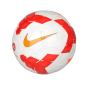 Мяч Nike Lightweight 290g, фото 1 - интернет магазин MEGASPORT
