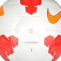 Мяч Nike Lightweight 290g, фото 2 - интернет магазин MEGASPORT