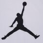 Футболка Jordan дитяча Jdg Short Sleeve Graphic T-Shirt, фото 3 - інтернет магазин MEGASPORT