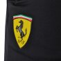 Спортивные штаны Puma Sf Track Pants, фото 3 - интернет магазин MEGASPORT