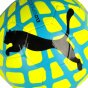 Мяч Puma evoSPEED 5.4 SpeedFrame, фото 2 - интернет магазин MEGASPORT