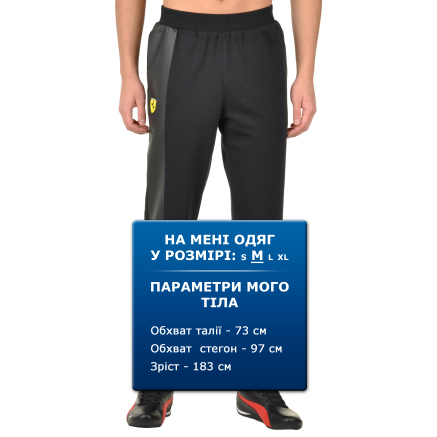 Спортивные штаны Puma Sf Sweat Pants - 91282, фото 6 - интернет-магазин MEGASPORT