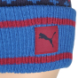 Шапка Puma Home Team Beanie, фото 7 - интернет магазин MEGASPORT
