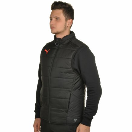 Puma evotrg online