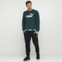 Кофта Puma Amplified Crew Sweat, фото 2 - интернет магазин MEGASPORT