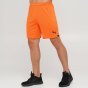 Шорты Puma Fcsd Shorts Replica, фото 1 - интернет магазин MEGASPORT