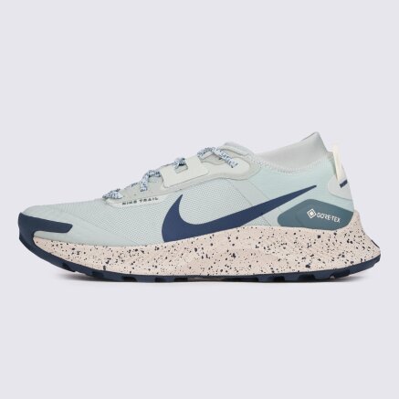 Кросівки Nike W Nike Pegasus Trail 3 Gtx - 143432, фото 1 - інтернет-магазин MEGASPORT