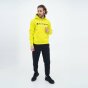 Кофта Champion Hooded Sweatshirt, фото 3 - интернет магазин MEGASPORT