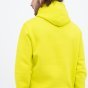 Кофта Champion Hooded Sweatshirt, фото 5 - інтернет магазин MEGASPORT