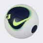 Мяч Nike Futsal Pro, фото 1 - интернет магазин MEGASPORT