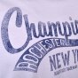 Футболка Champion Crewneck T'Shirt, фото 3 - интернет магазин MEGASPORT