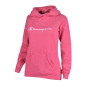 Кофта Champion Hooded Sweatshirt, фото 1 - интернет магазин MEGASPORT