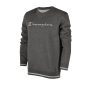 Кофта Champion Crewneck Sweatshirt, фото 1 - інтернет магазин MEGASPORT