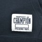 Кофта Champion Hooded Full Zip Sweatshirt, фото 6 - интернет магазин MEGASPORT