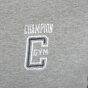 Футболка Champion Ringer T'shirt, фото 5 - інтернет магазин MEGASPORT