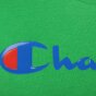 Футболка Champion Crewneck T-Shirt, фото 6 - інтернет магазин MEGASPORT