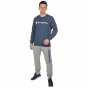 Кофта Champion Crewneck Sweatshirt, фото 5 - інтернет магазин MEGASPORT