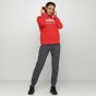 Кофта Champion Hooded Full Zip Sweatshirt, фото 2 - інтернет магазин MEGASPORT