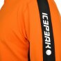 Термобілизна Icepeak (кофта) Robin, фото 6 - інтернет магазин MEGASPORT