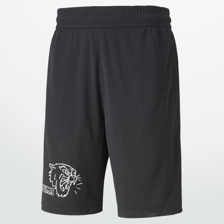 Puma 2025 mesh shorts