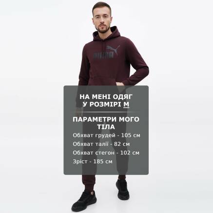 Кофта Puma ESS Big Logo Hoodie FL (S) - 140899, фото 2 - інтернет-магазин MEGASPORT