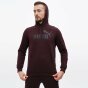 Кофта Puma ESS Big Logo Hoodie FL (S), фото 1 - інтернет магазин MEGASPORT