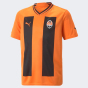 Футболка Puma дитяча FCSD Home Jersey Replica Jr, фото 1 - інтернет магазин MEGASPORT