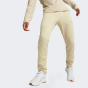 Спортивные штаны Puma EVOSTRIPE Pants DK, фото 1 - интернет магазин MEGASPORT