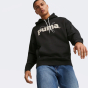 Кофта Puma TEAM Graphic Hoodie TR, фото 1 - інтернет магазин MEGASPORT
