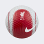 М'яч Nike LFC Strike, фото 1 - інтернет магазин MEGASPORT