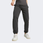 Спортивные штаны Puma ESS BETTER Sweatpants TR, фото 1 - интернет магазин MEGASPORT