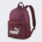 Рюкзак Puma детский Phase Small Backpack, фото 1 - интернет магазин MEGASPORT