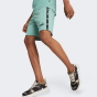 Шорты Puma ESS+ Tape Shorts 9" TR, фото 1 - интернет магазин MEGASPORT