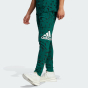 Спортивные штаны Adidas M BL FT PT AOP, фото 1 - интернет магазин MEGASPORT