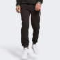 Спортивные штаны Puma SQUAD Sweatpants FL cl, фото 1 - интернет магазин MEGASPORT
