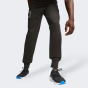 Спортивные штаны Puma BMW MMS ESS Pants Fleece, фото 1 - интернет магазин MEGASPORT