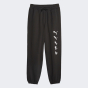 Спортивнi штани Puma X RIPNDIP Sweatpants TR, фото 6 - інтернет магазин MEGASPORT