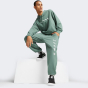 Кофта Puma X RIPNDIP Hoodie TR, фото 3 - інтернет магазин MEGASPORT