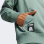 Кофта Puma X RIPNDIP Hoodie TR, фото 5 - інтернет магазин MEGASPORT