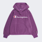 Кофта Champion детская hooded sweatshirt, фото 1 - интернет магазин MEGASPORT