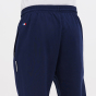 Спортивные штаны Nike PSG M NK STD ISSUE PANT, фото 5 - интернет магазин MEGASPORT