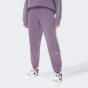 Спортивные штаны New Balance Essentials Brushed Pant, фото 1 - интернет магазин MEGASPORT