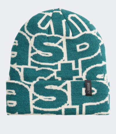 Шапка Puma TEAM BEANIE - 159540, фото 1 - интернет-магазин MEGASPORT