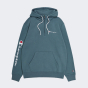 Кофта Champion Hooded Half Zip Sweatshirt, фото 4 - интернет магазин MEGASPORT