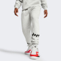 Спортивнi штани Puma Hoops Team Sweat Pant, фото 1 - інтернет магазин MEGASPORT