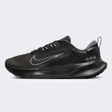 Кроссовки Nike JUNIPER TRAIL 2 GTX - 160601, фото 1 - интернет-магазин MEGASPORT