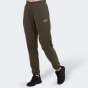 Спортивные штаны Puma ESS+ Embroidered Pants FL cl, фото 1 - интернет магазин MEGASPORT