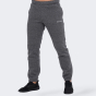 Спортивнi штани Champion Elastic Cuff Pants, фото 1 - інтернет магазин MEGASPORT