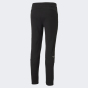 Спортивные штаны Puma FCSD Casuals Pants, фото 7 - интернет магазин MEGASPORT